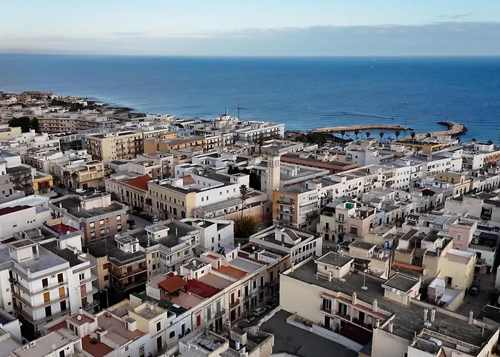 Dom wakacyjny Loft 216